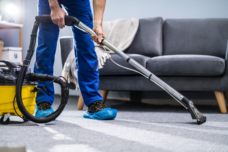 Vacuuming carpet